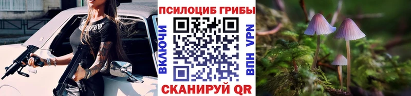Псилоцибиновые грибы MAGIC MUSHROOMS Кораблино