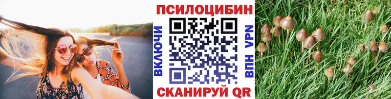 блэк спрут онион  Кораблино  Галлюциногенные грибы MAGIC MUSHROOMS 